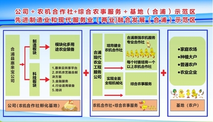 依托农机生产企业 打造社会化服务新模式——记合浦县惠强农机服务专业合作社农业机械服务
